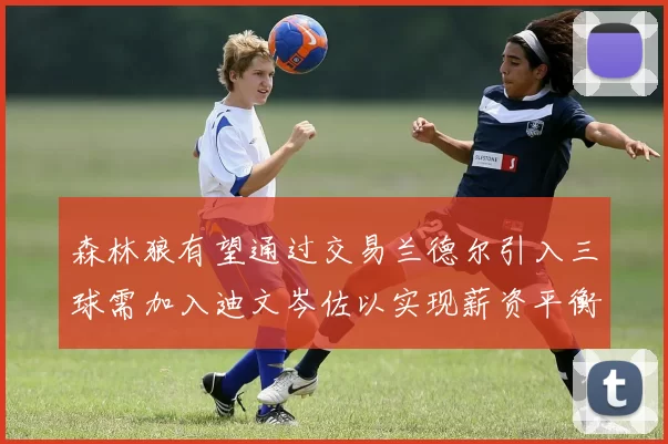 森林狼有望通过交易兰德尔引入三球需加入迪文岑佐以实现薪资平衡